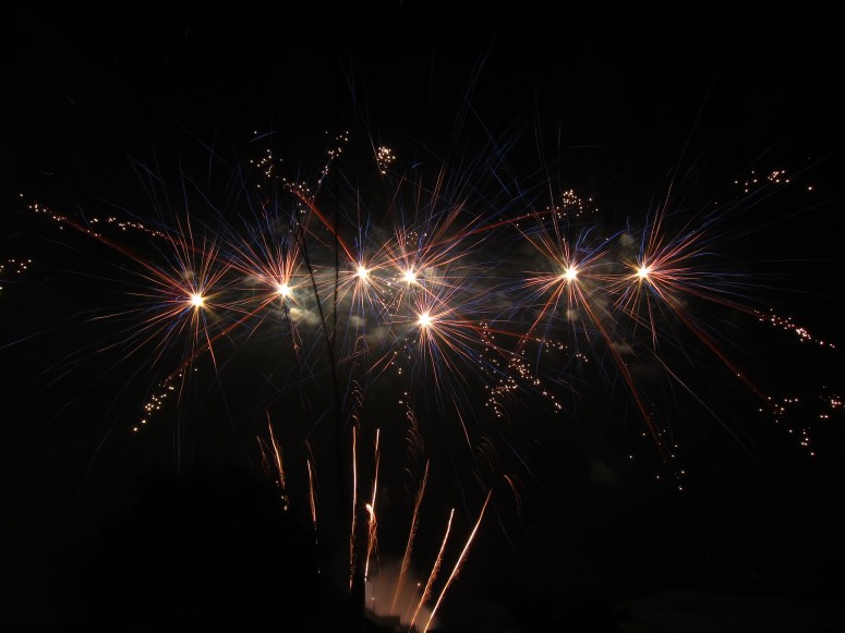The best firework photo I got from 2013 NYE.