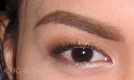 19sample-anastasia-brow