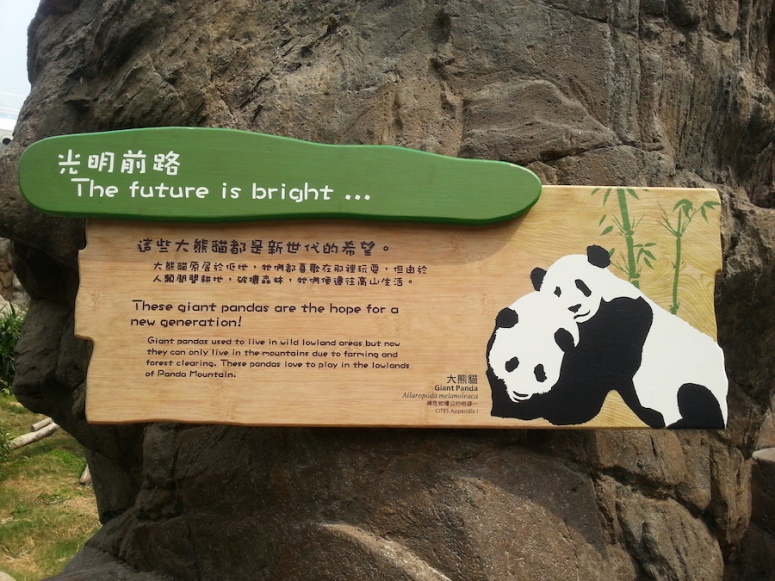 12ocean-park-hong-kong-panda